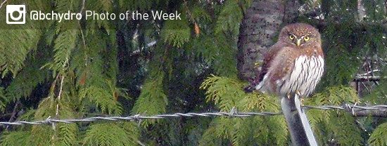 Photo of the Week