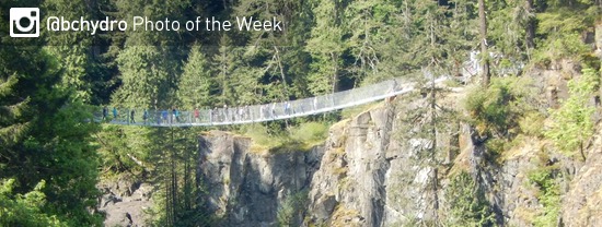 Photo of the Week