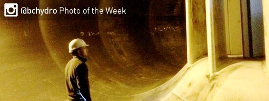 Photo of the Week