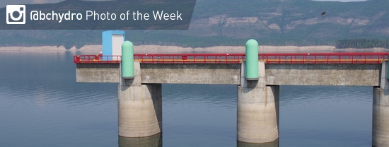 Photo of the Week