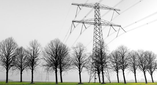 President of CEA: only 15 per cent of Canadian Electricity coal-fired power