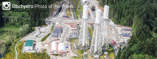 Photo of the Week