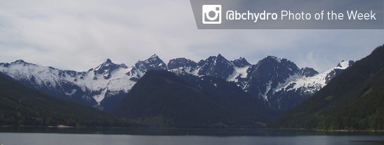 Photo of the Week