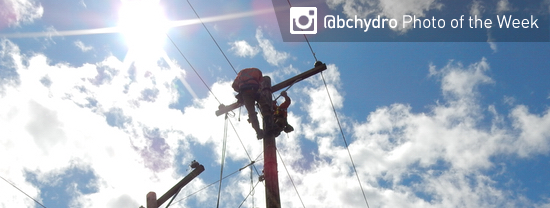 Photo of the Week