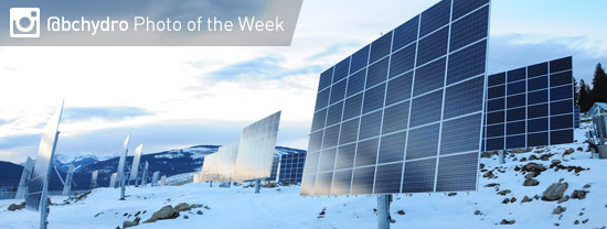 Photo of the Week