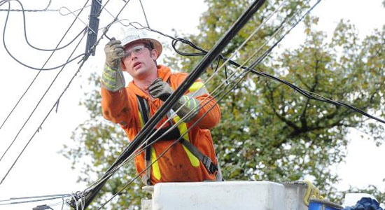 With so many trees in B.C., power outages are a reality