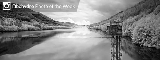 Photo of the Week