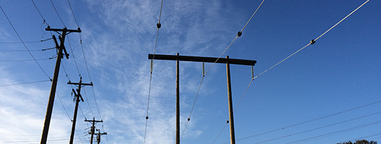 Photo of the Week