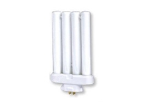 Compact Fluorescent (4 pin)