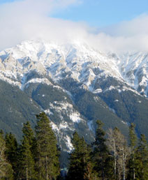B.C.'s conservation potential