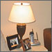 Compact Fluorescent Light Bulbs