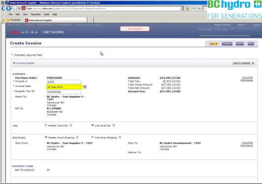 soft copy invoice
