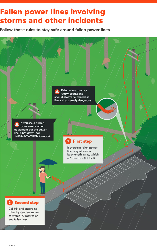 What to do when there are fallen power lines