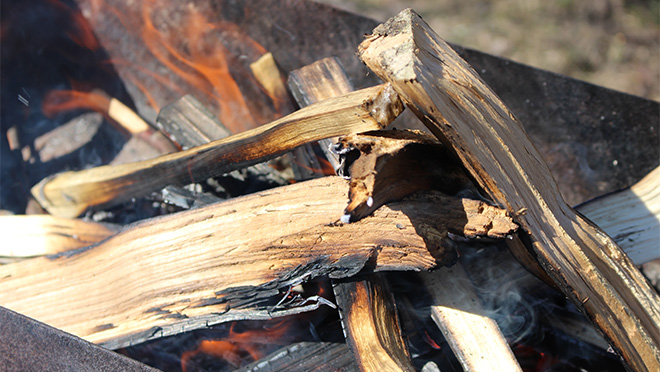 Campfire up close Campfire in a metal container arranged lean-to style