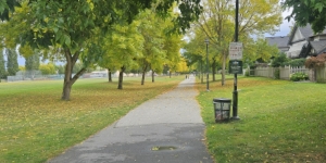 Tree-lined pathway through a park with houses on the right and large green space on the left.