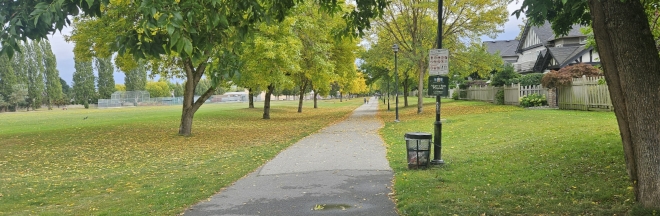 Tree-lined pathway through a park with houses on the right and large green space on the left. Tree-lined pathway through a park with houses on the right and large green space on the left.