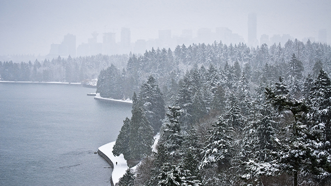 Downtown Vancouver, snow walker and Douglas Firs in Stanley Park. Downtown Vancouver, snow walker and Douglas Firs in Stanley Park.