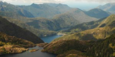 Aerial photograph of the Haida Gwaii landscape