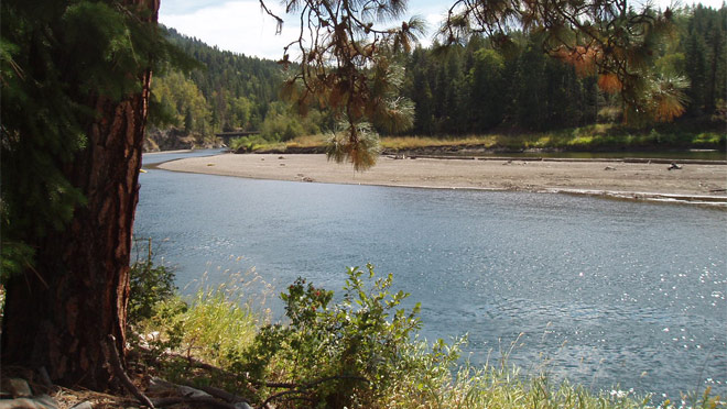 Shuswap River Recreation area