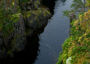 River lined with mossy rocks