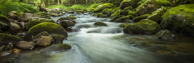 flowing river flowing river