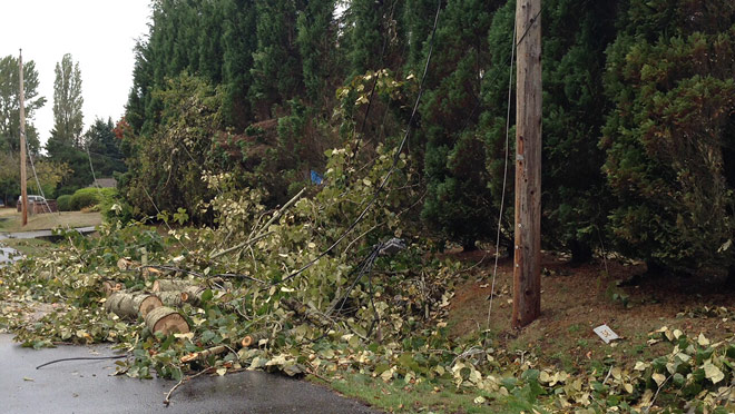 Image of wires down with storm debris Image of wires down with storm debris