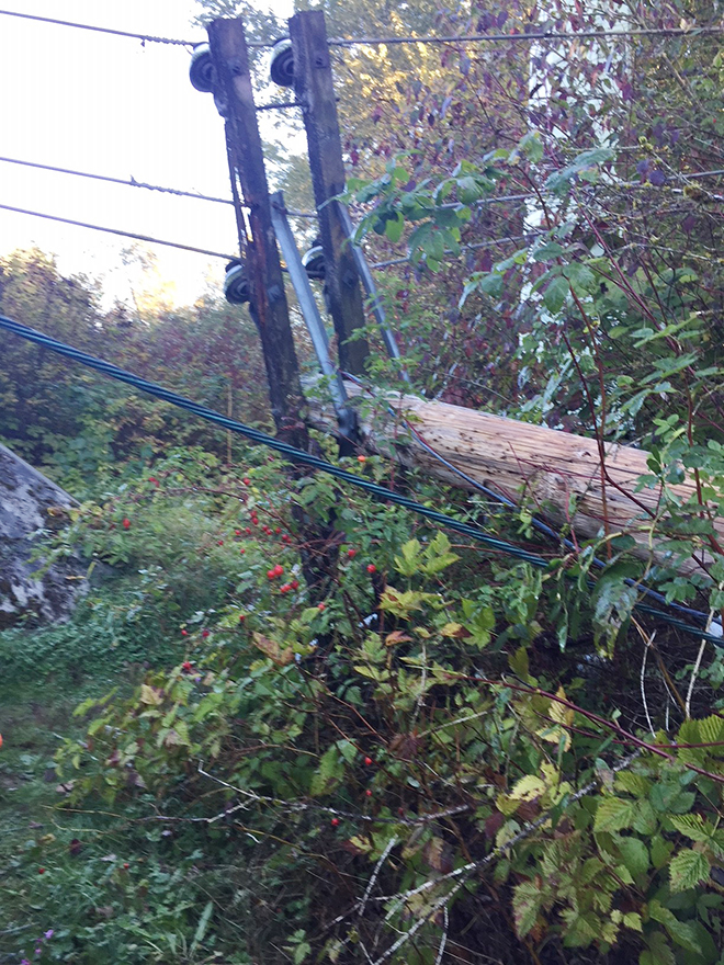 Vandalized power pole cut down in Port Coquitlam Vandalized power pole cut down in Port Coquitlam