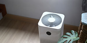 Air purifier in comfortable living room
