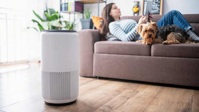 Air purifier set in a comfortable living room