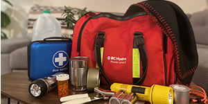 https://www.bchydro.com/content/dam/BCHydro/customer-portal/photographs/objects-products/misc-household-items/emergency-kit-for-power-outage-preparation-300x150.jpg