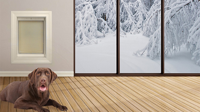 Image of a Freedom Pet Pass door Image of a Freedom Pet Pass door