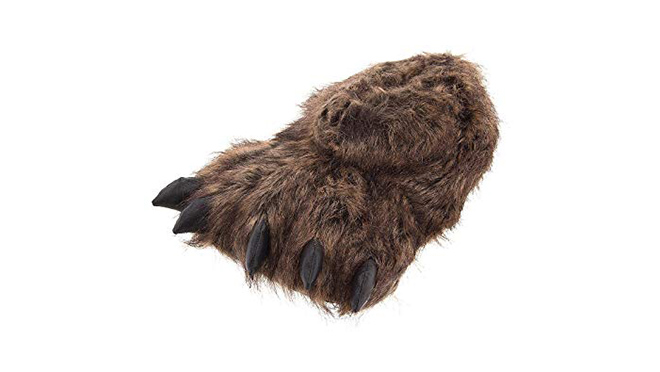 Image of a grizzly slipper Image of a grizzly slipper