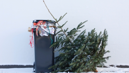 holiday-waste-tree-paper-object.jpeg holiday-waste-tree-paper-object.jpeg