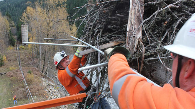 crews-moving-osprey-nest-full-width-people.jpg crews-moving-osprey-nest-full-width-people.jpg