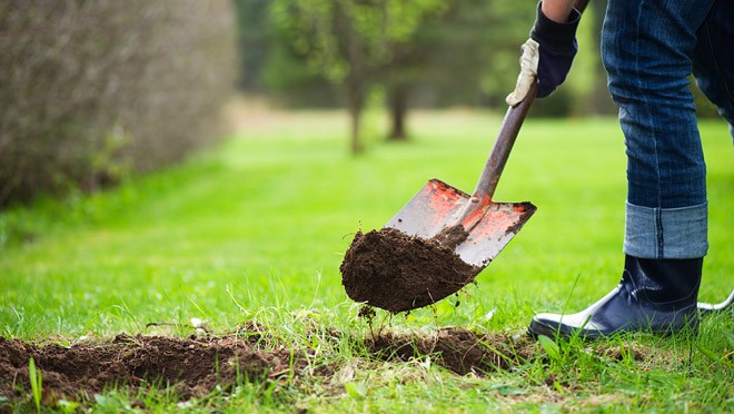 starting spring yard work to stay safe call before you dig yard work images