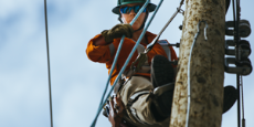 Apprentice power line technician climbing pole
