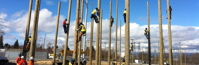 Climbing pole training in Surrey