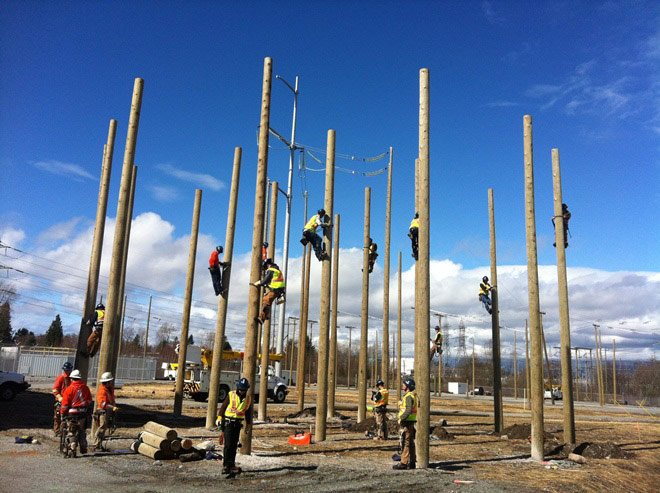 Power line technicians climbing poles