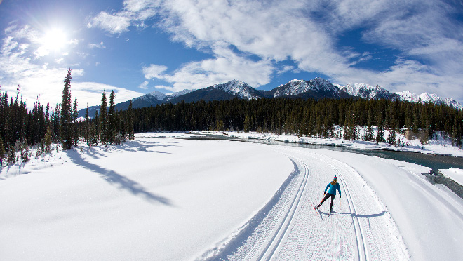 Cross-country skier in a winter landscape