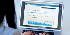 A person using a laptop to view an online electricity consumption dashboard with charts and cost information.