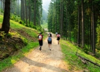 People walking down a forest path