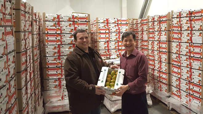 Image of people with tropical fruit at Hen Long Market's warehouse Image of people with tropical fruit at Hen Long Market's warehouse