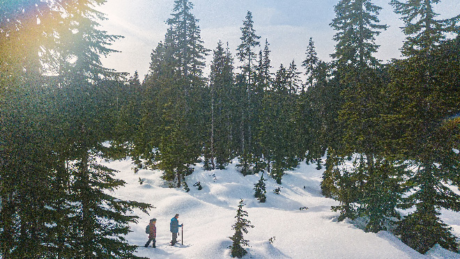 People snowshoeing on a North Shore mountain