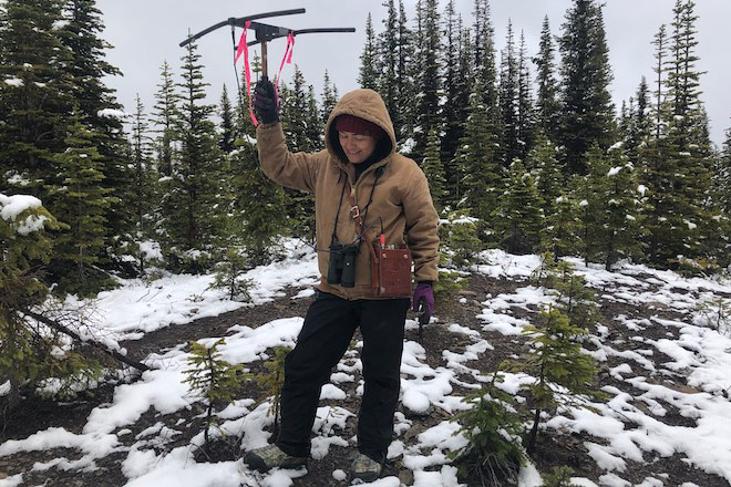 Starr Gauthier using radio telemetry to track caribou