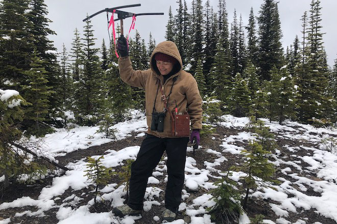 Starr Gauthier using radio telemetry to track caribou Starr Gauthier using radio telemetry to track caribou