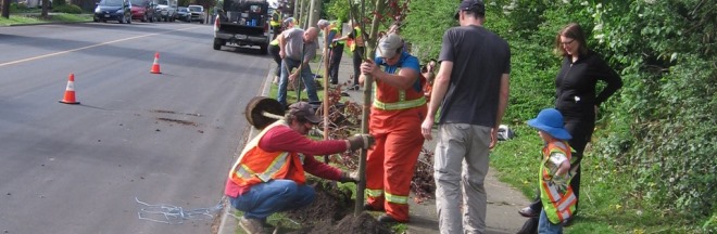 community group planting trees community group planting trees