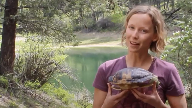 Image of Ayala Bennett teaching the Wild Voices Turtle Truths program