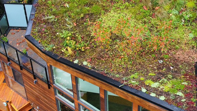 Aerial view of the green roof on Saanich mayor Fred Haynes' home