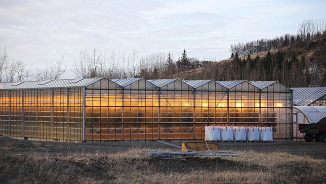 Image of an illuminated greenhouse