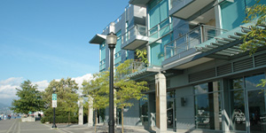Modern building with large glass windows along a tree-lined walkway on a sunny day.